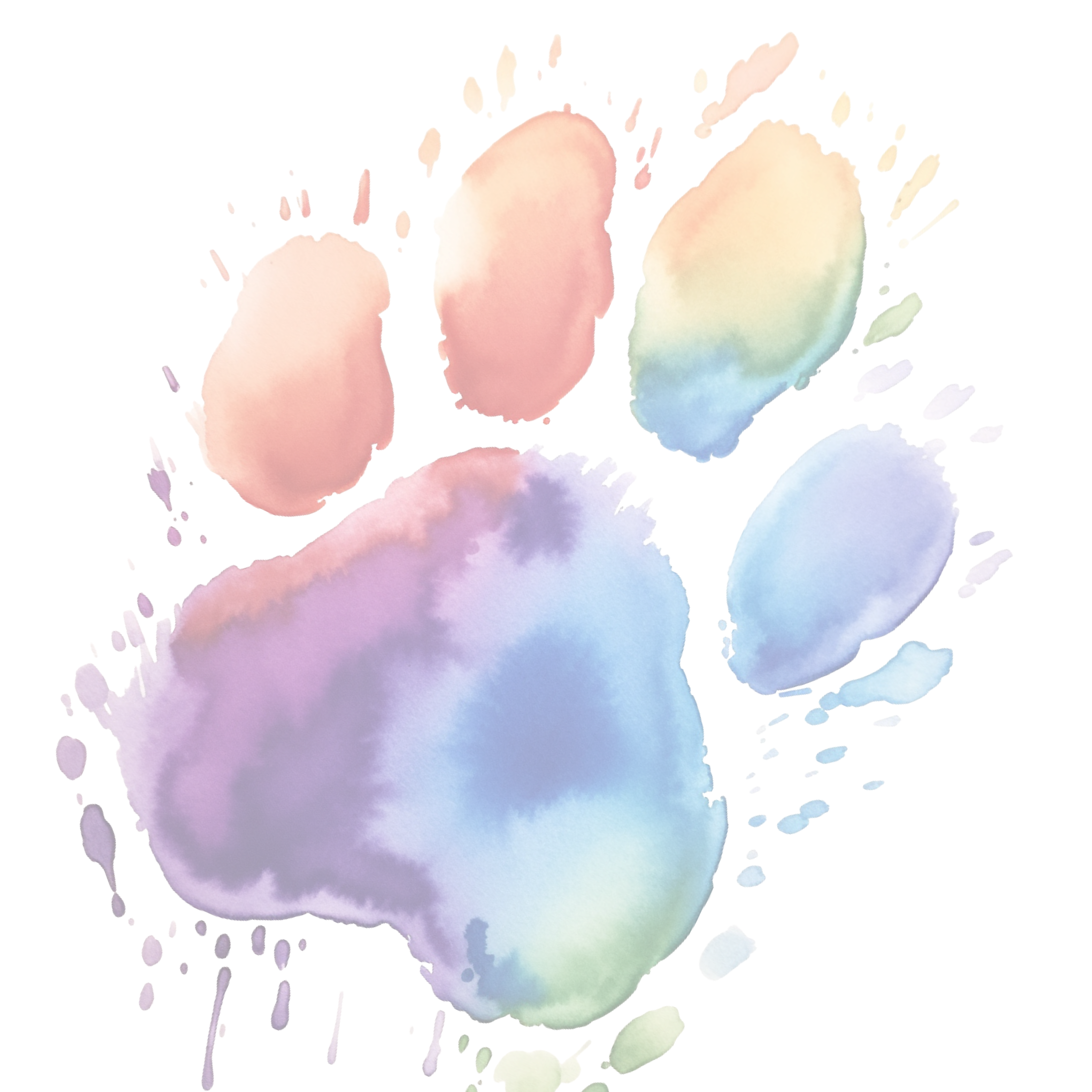 paws