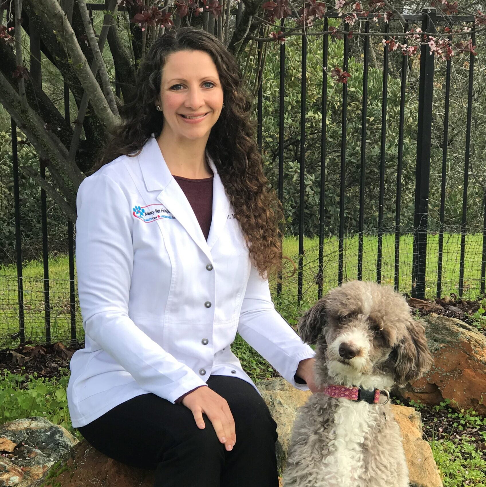 Dr. Marci Linett, DVM